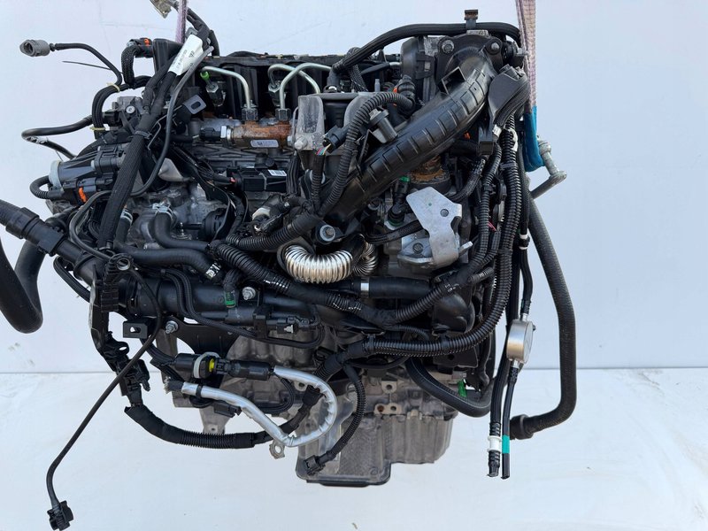 Miniatura 11