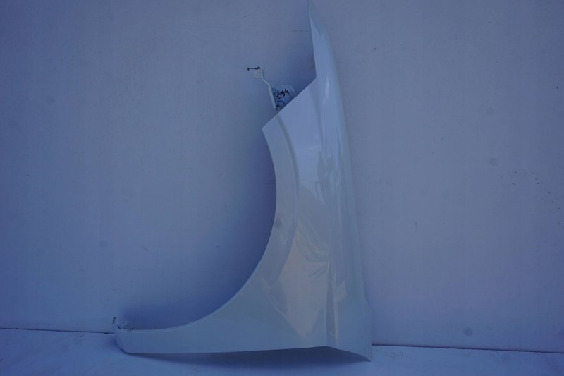 DS4 II BŁOTNIK PRZEDNI LEWY PRZÓD