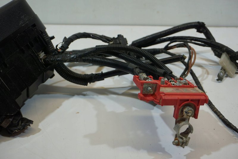 Miniatura 9