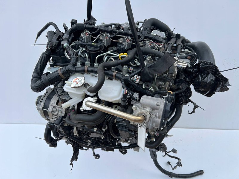 Miniatura 13