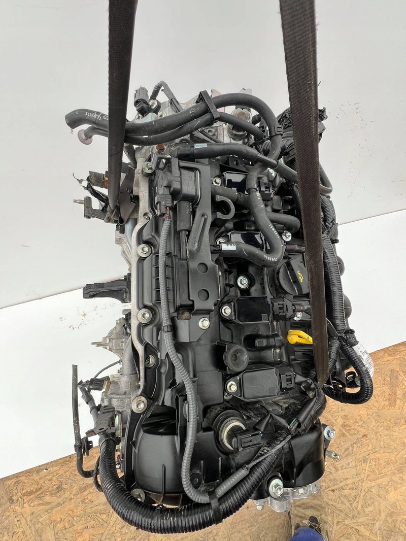 Miniatura 15