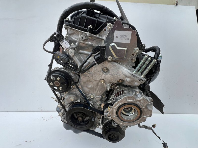 Miniatura 12