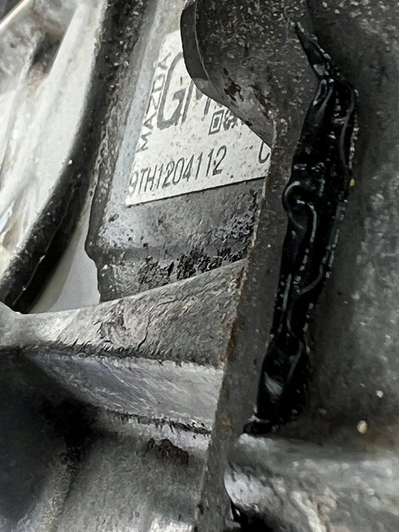 Miniatura 7