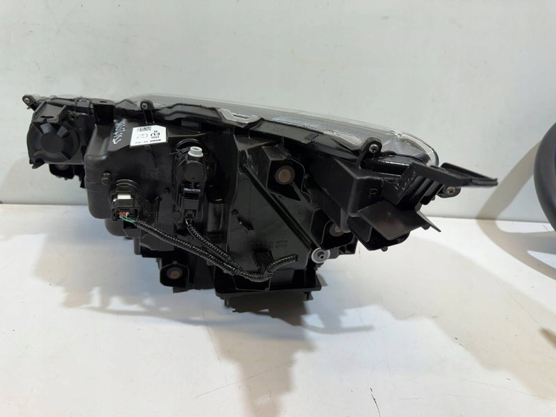 Miniatura 12