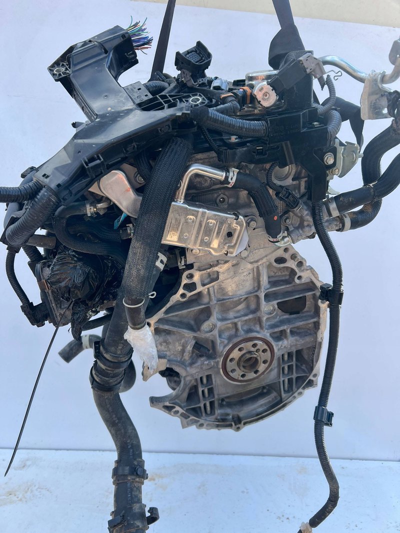 Miniatura 12