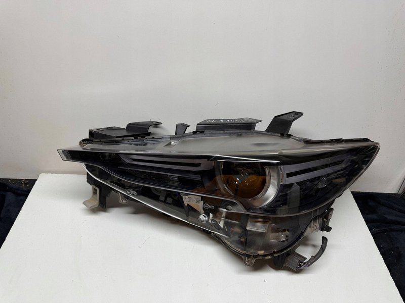 Miniatura 8